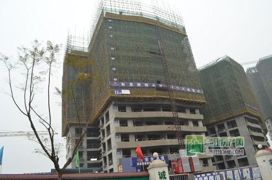 丽雅龙城2月工程进度 1#、2#楼已封顶