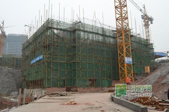 丽雅龙城2月工程进度 1#、2#楼已封顶