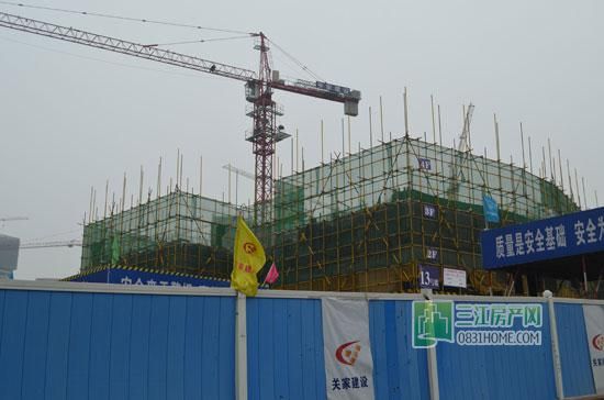 丽雅龙城2月工程进度 1#、2#楼已封顶