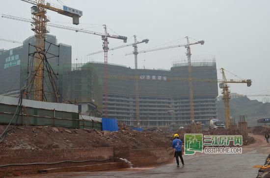 丽雅龙城2月工程进度 1#、2#楼已封顶