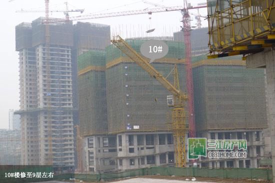 丽雅龙城3月工程进度：10#楼修至9层左右