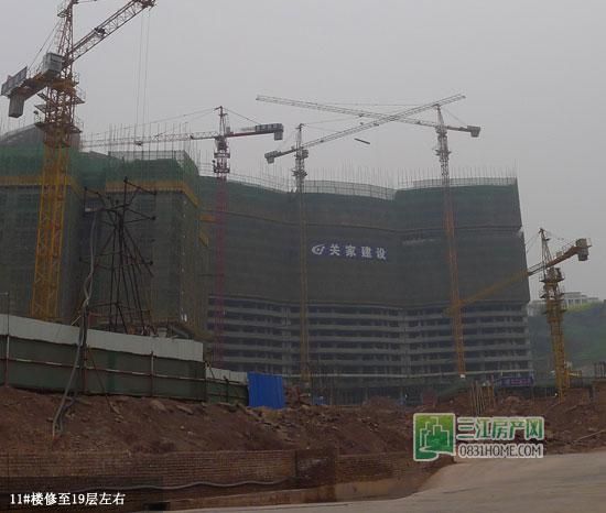 丽雅龙城3月工程进度：11#楼修至19层左右