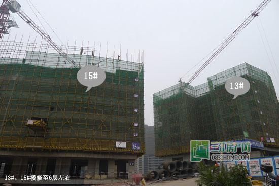 丽雅龙城3月工程进度：13#、15#楼均修至6层左右
