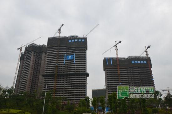 丽雅龙城4月施工进度