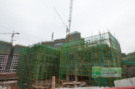 丽雅龙城4月施工进度