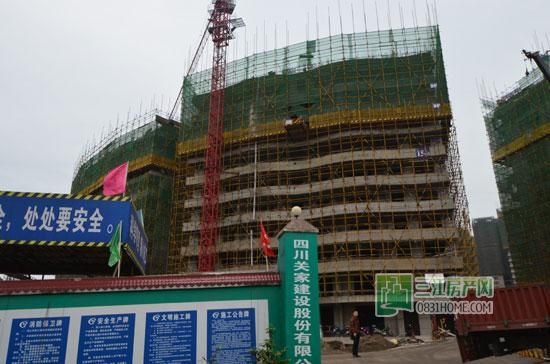 丽雅龙城4月施工进度