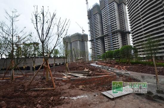 丽雅龙城4月施工进度