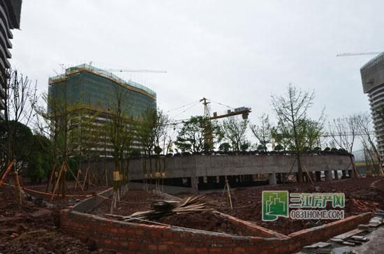 丽雅龙城4月施工进度