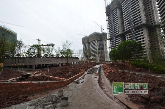 丽雅龙城4月施工进度