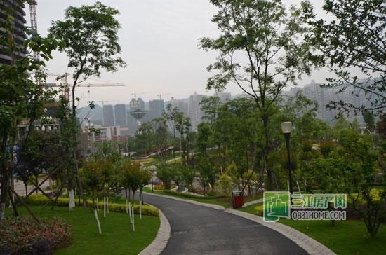 丽雅龙城4月施工进度