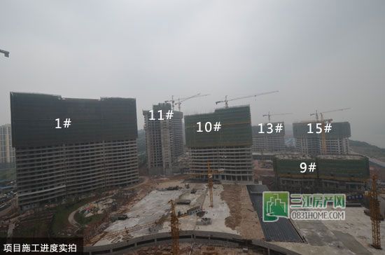 丽雅龙城5月施工进度实拍
