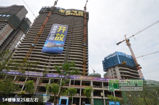 丽雅龙城7月施工进度实拍