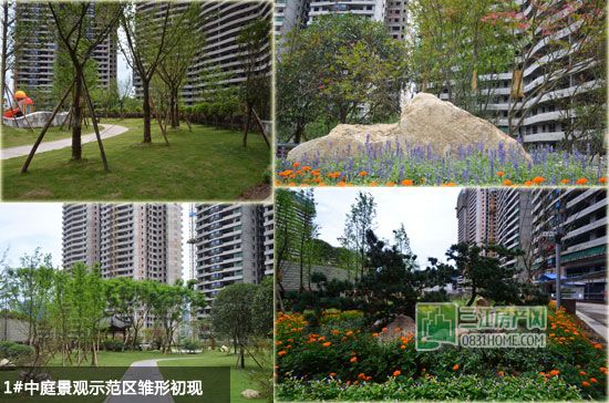 丽雅龙城7月施工进度实拍