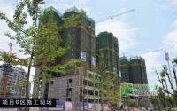 金沙首座7月施工进度 加州湾最高修至20层