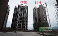春天里7月工程进度 所有楼栋全面封顶