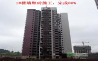 紫金城7月施工进度 B地块最高修至13层