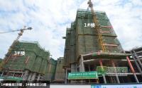 观澜上郡7月工程进度 4#楼已封顶