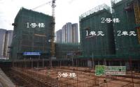 北新国际6月工程进度 整体进展迅速