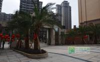 御景豪庭2月工程进度 13号楼已封顶