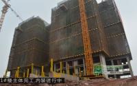 伊顿公馆2月工程进度 楼栋布局已成型