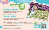 婚房特惠月 拉菲工程进度同步推进中