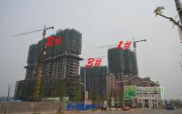 新港华府认购楼栋封顶 商业裙楼火热建设中
