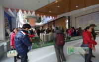 1月25日 春天里业主自贡赏灯游圆满结束！