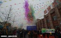 华恩·凯丽滨江品鉴会1月11日盛大开启
