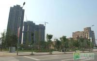 住南溪“盛景天下” 观长江一线江景