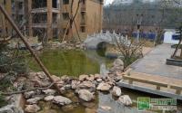 阳光半岛中庭景观抢先看 绿色植物布满园