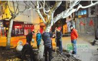 宜宾人民路改造 187棵梧桐“挪个窝”