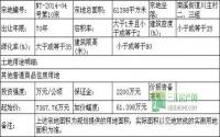 7月14日 南溪区公开拍卖13宗商住用地