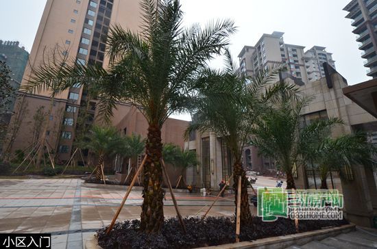 封面即将呈现 御景豪庭一期景观实景曝光