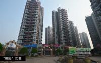 城中央8月施工进度 奥园景观工程有序推进