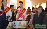 外模助阵“头等舱”印象南溪惹人眼