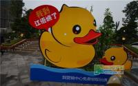 小伙伴们齐相邀 江语城领“大黄鸭”