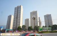 入驻西区12年 鲁能一期在售项目信息盘点