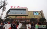 成中“紫金城”营销中心华丽绽放