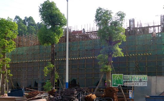 紫金城8月施工进度 C地块所有楼栋已封顶