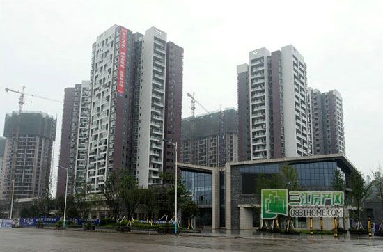 紫金城8月施工进度 C地块所有楼栋已封顶
