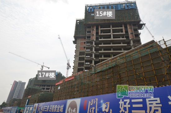 紫金城8月施工进度 C地块所有楼栋已封顶