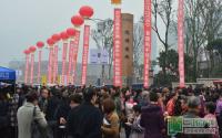 龙湾一号销售中心盛大开放 引千人看房