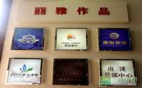 “丽雅龙城”首次亮相宜宾秋季住博会