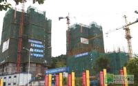 鲁能·鑫菁英2批次房源或8月中旬面市
