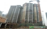 “水岸欧韵”B1户型热销 住宅优惠10000元