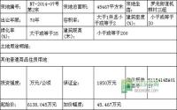 11月10日 南溪区公开拍卖2宗商住用地
