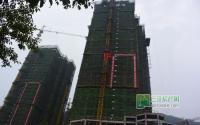 观澜上郡10月施工进度 1、4、9号楼已封顶