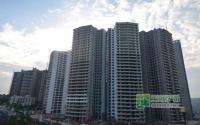 10000元/㎡起 龙城岁月2、3#楼现铺热推