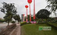 11月15日 半岛大院招商大会隆重举行