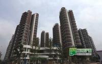 优惠房款5000元 城中央老带新活动热推